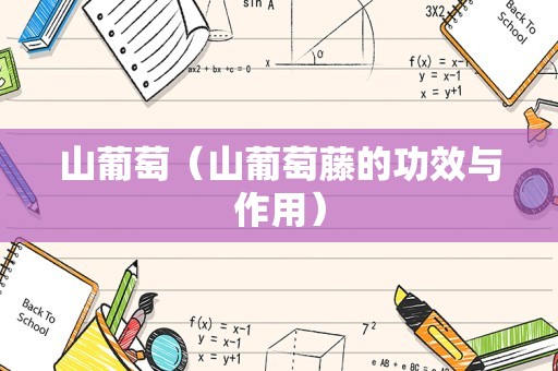 山葡萄（山葡萄藤的功效与作用）
