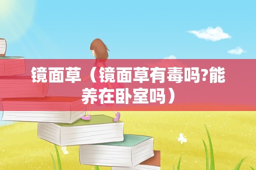 镜面草（镜面草有毒吗?能养在卧室吗）
