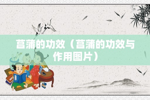 菖蒲的功效（菖蒲的功效与作用图片）