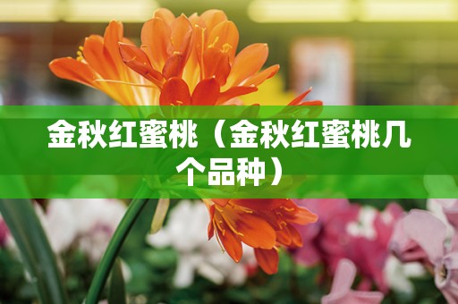 金秋红蜜桃（金秋红蜜桃几个品种）