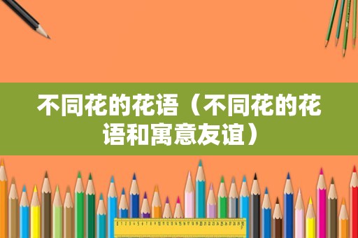 不同花的花语（不同花的花语和寓意友谊）