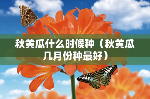 秋黄瓜什么时候种（秋黄瓜几月份种最好）