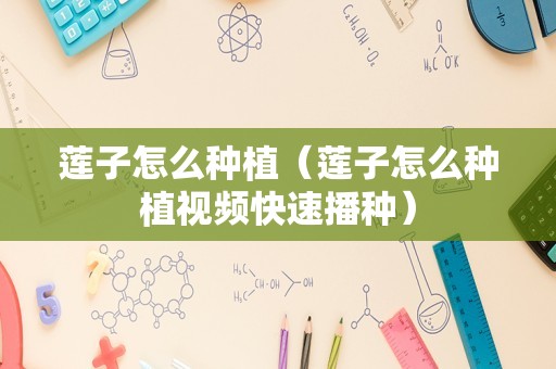 莲子怎么种植（莲子怎么种植视频快速播种）
