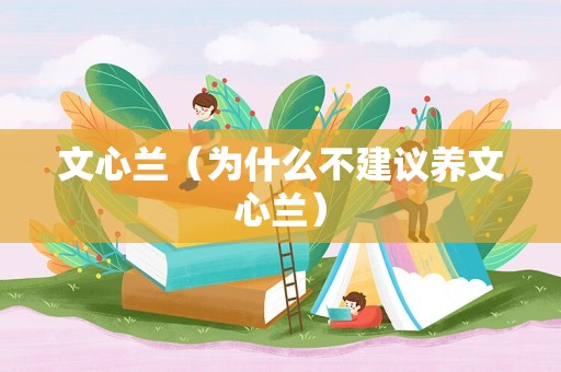 文心兰（为什么不建议养文心兰）