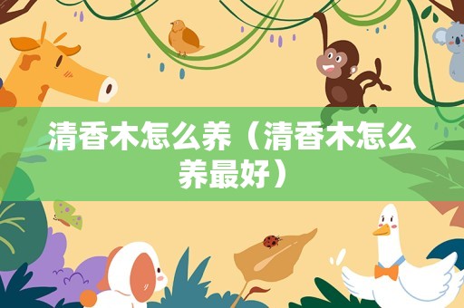 清香木怎么养（清香木怎么养最好）