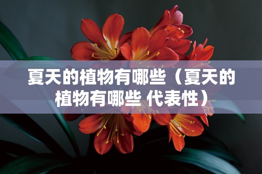 夏天的植物有哪些（夏天的植物有哪些 代表性）