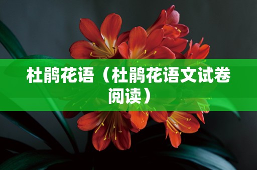 杜鹃花语（杜鹃花语文试卷阅读）