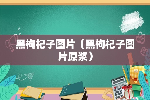 黑枸杞子图片（黑枸杞子图片原浆）