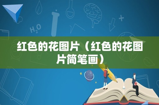 红色的花图片（红色的花图片简笔画）