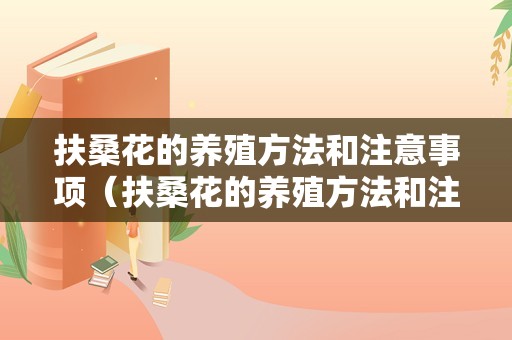 扶桑花的养殖方法和注意事项（扶桑花的养殖方法和注意事项能不能晒太阳）