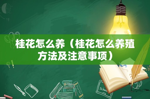 桂花怎么养（桂花怎么养殖方法及注意事项）