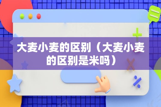 大麦小麦的区别（大麦小麦的区别是米吗）