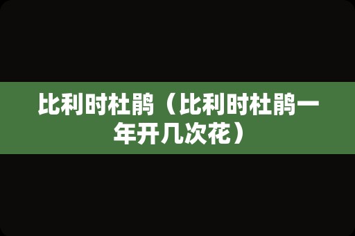 比利时杜鹃（比利时杜鹃一年开几次花）