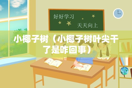 小椰子树（小椰子树叶尖干了是咋回事）