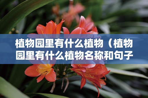 植物园里有什么植物（植物园里有什么植物名称和句子）