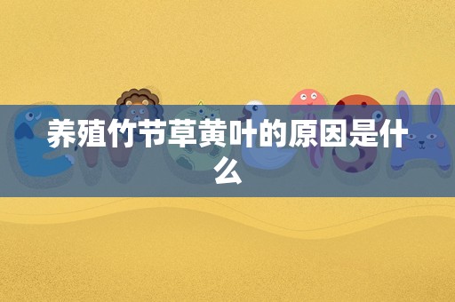 养殖竹节草黄叶的原因是什么