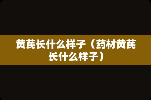 黄芪长什么样子（药材黄芪长什么样子）