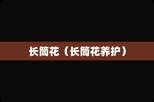 长筒花（长筒花养护）