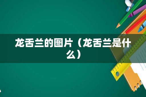 龙舌兰的图片（龙舌兰是什么）