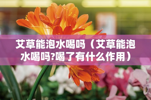 艾草能泡水喝吗（艾草能泡水喝吗?喝了有什么作用）