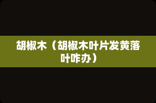 胡椒木（胡椒木叶片发黄落叶咋办）