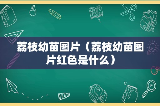 荔枝幼苗图片（荔枝幼苗图片红色是什么）