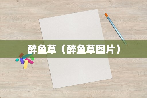 醉鱼草（醉鱼草图片）