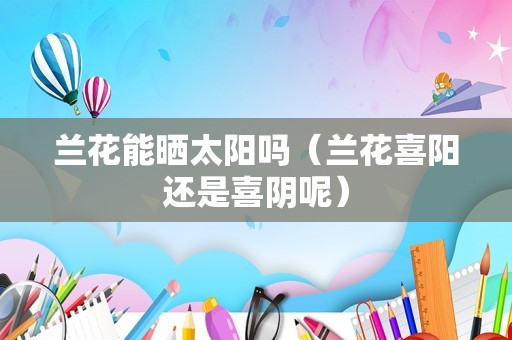 兰花能晒太阳吗（兰花喜阳还是喜阴呢）