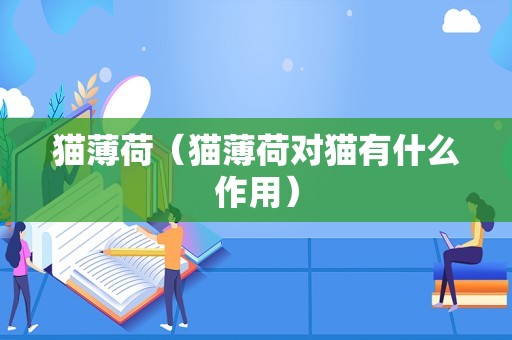 猫薄荷（猫薄荷对猫有什么作用）