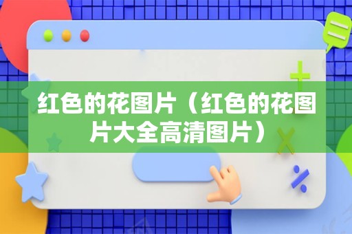 红色的花图片（红色的花图片大全高清图片）