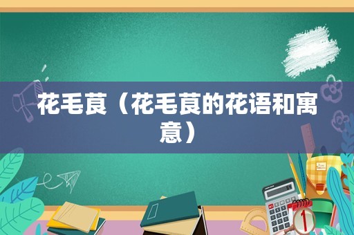 花毛茛（花毛茛的花语和寓意）