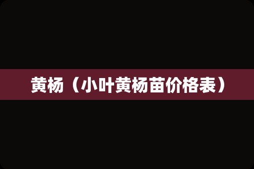 黄杨（小叶黄杨苗价格表）
