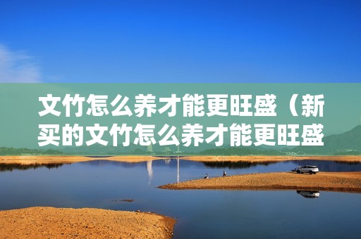 文竹怎么养才能更旺盛（新买的文竹怎么养才能更旺盛）