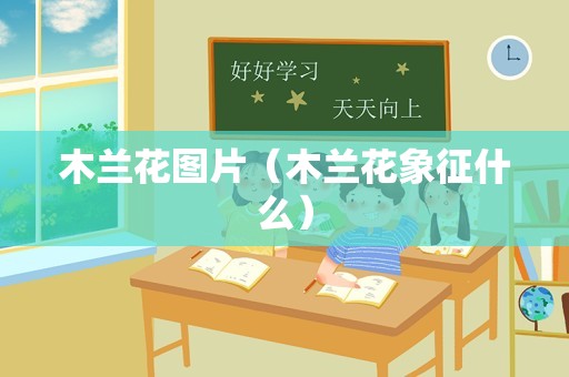 木兰花图片（木兰花象征什么）