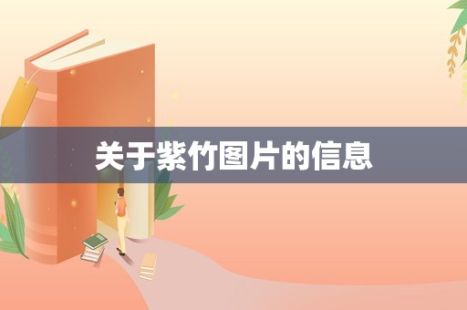 关于紫竹图片的信息