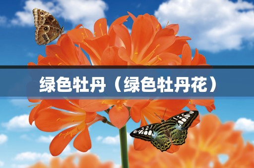 绿色牡丹（绿色牡丹花）