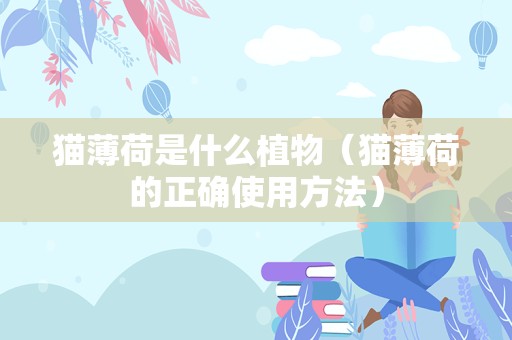 猫薄荷是什么植物（猫薄荷的正确使用方法）
