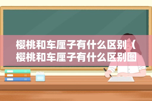 樱桃和车厘子有什么区别（樱桃和车厘子有什么区别图片它们的花）