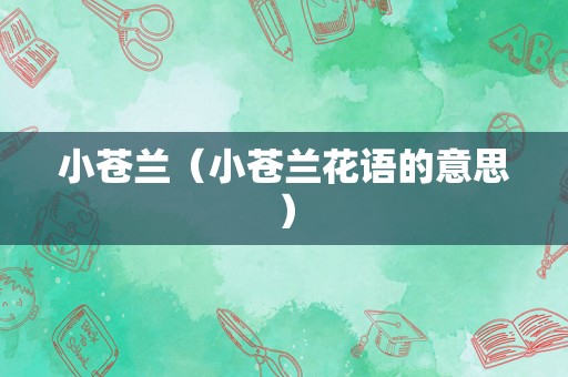 小苍兰（小苍兰花语的意思）