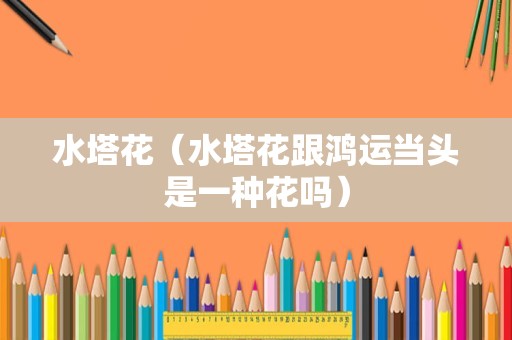 水塔花（水塔花跟鸿运当头是一种花吗）