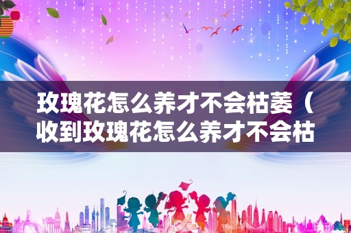 玫瑰花怎么养才不会枯萎（收到玫瑰花怎么养才不会枯萎）