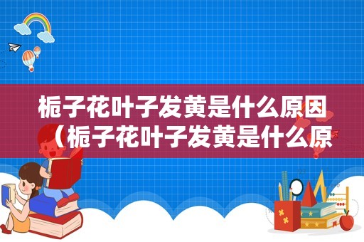 栀子花叶子发黄是什么原因（栀子花叶子发黄是什么原因?栀子花怎么养才能花繁叶茂?）