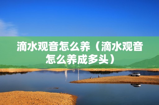 滴水观音怎么养（滴水观音怎么养成多头）