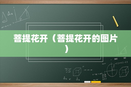 菩提花开（菩提花开的图片）