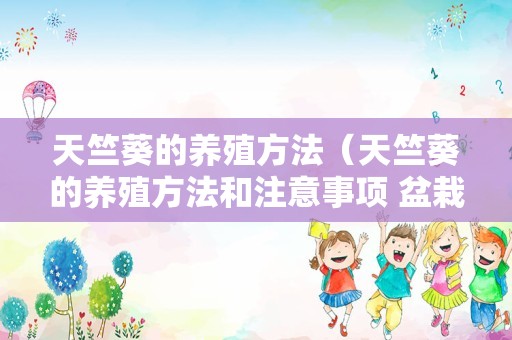天竺葵的养殖方法（天竺葵的养殖方法和注意事项 盆栽）