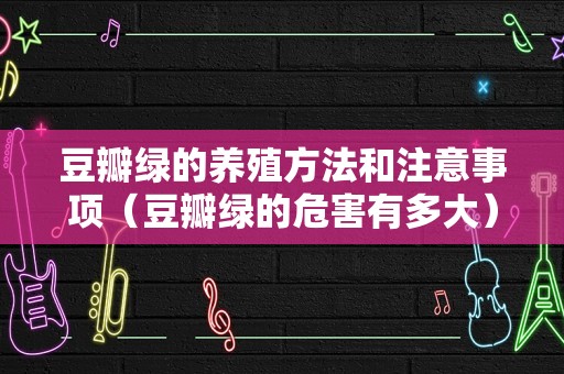 豆瓣绿的养殖方法和注意事项（豆瓣绿的危害有多大）