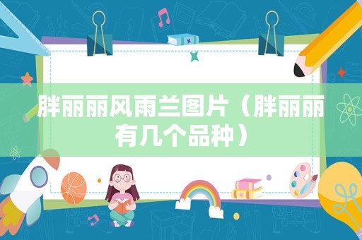 胖丽丽风雨兰图片（胖丽丽有几个品种）
