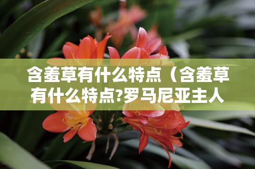 含羞草有什么特点（含羞草有什么特点?罗马尼亚主人是干什么的）