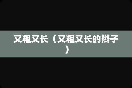 又粗又长（又粗又长的辫子）