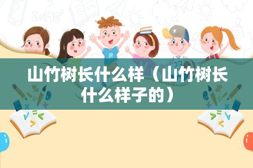 山竹树长什么样（山竹树长什么样子的）